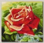 Канва с нанесенным рисунком *Красная роза*, Матренин Посад 1216